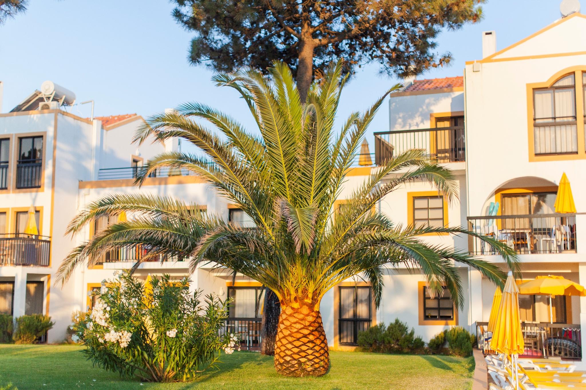 Alfagar Village Albufeira Exteriér fotografie