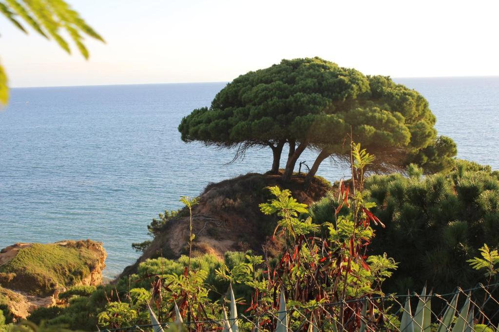 Alfagar Village Albufeira Exteriér fotografie